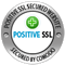 Positive SSL Secured Website